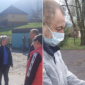 Лисиця покусала трьох собак та кішку: у селі на Закарпатті виявили сказ