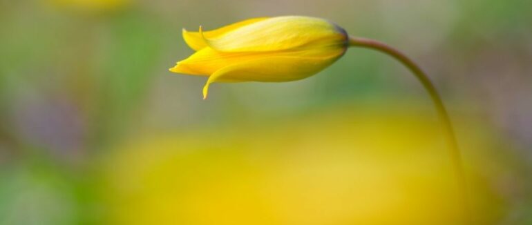 Гороскоп на 7 квітня для всіх знаків зодіаку: день, коли здійснюються бажання