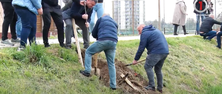 Продовжили найбільшу в Європі алею: в Ужгороді висадили 50 лип на Студентській набережній (ВІДЕО)
