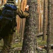 В горах на Закарпатті загубився підліток