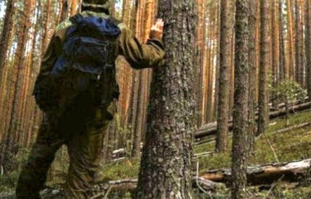 В горах на Закарпатті загубився підліток