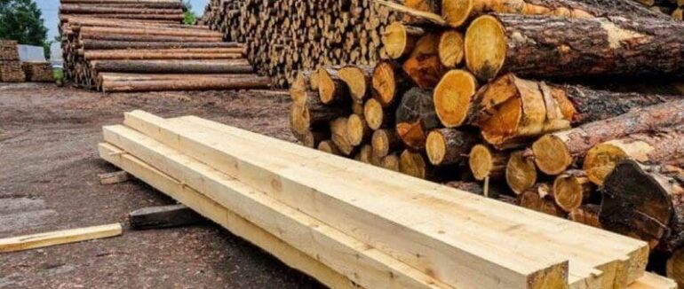 Профілактичні бесіди про неприпустимість незаконної рубки лісу в Закарпатті закінчилися