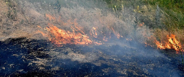 На Рахівщині загинула жінка під час спалювання сухостою