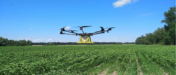 Соцмережа вибухнула коментарями: що насправді розпилювали із літаючого об’єкта у Голубиному на Мукачівщині