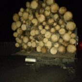 За добу на Рахівщині поліцейські виявили два випадки незаконного перевезення лісу