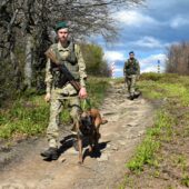 Припинили незаконне переміщення:25 правопорушників та 4000 пачок сигарет затримали за добу на кордоні