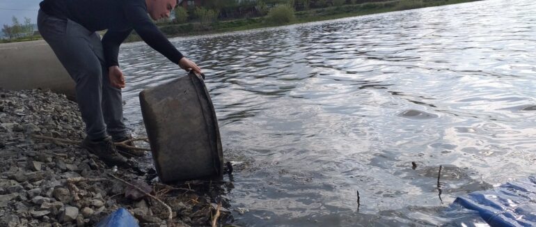 Майже 17 тисяч рибин випустили у водойму на Закарпатті