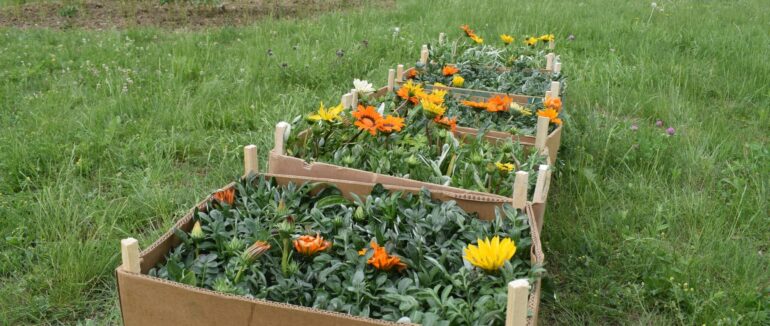 В Ужгороді тривають роботи із впорядкування території міста