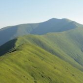 Долю вітряків полонини Боржави розглянули під час сесійного засідання Закарпатської облради