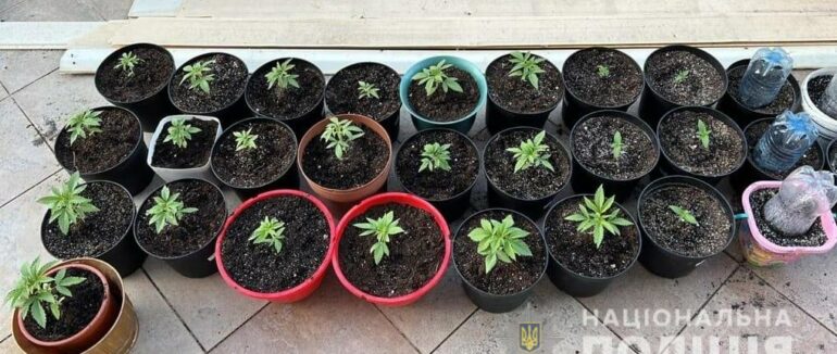 У Виноградові викрили раніше судимого чоловіка на наркозлочині