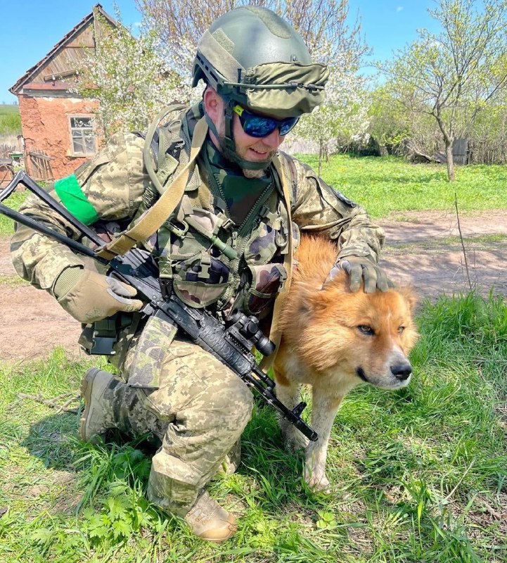 Разом з бійцями зі 101-ї бригади ТрО Закарпаття несе службу чотирилапий