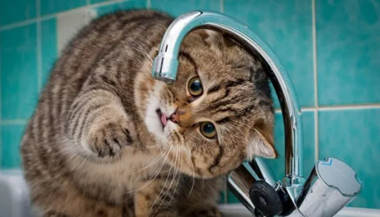 Сьогодні більша половина Ужгорода залишиться без водопостачання