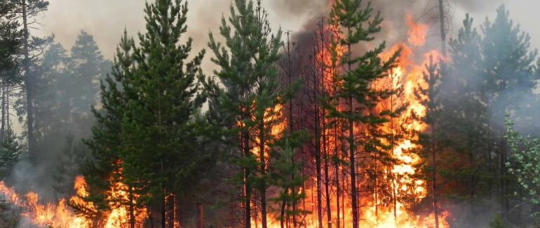 Закарпатців попереджають про високу пожежну небезпеку