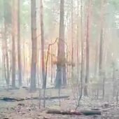 Закарпатські фахівці показали, як розміновують Київщину