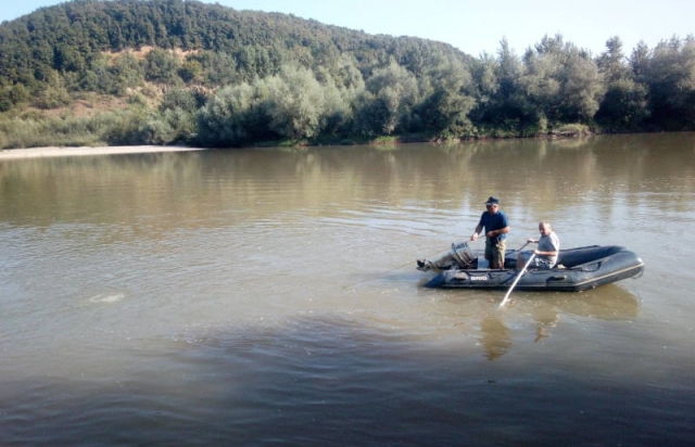 На Закарпатті у річці Тисі знову шукають двох ймовірно потонулих чоловіків