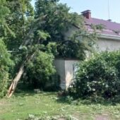 Наслідки негоди на Закарпатті: часткове аварійне знеструмлення населених пунктів та падіння дерев
