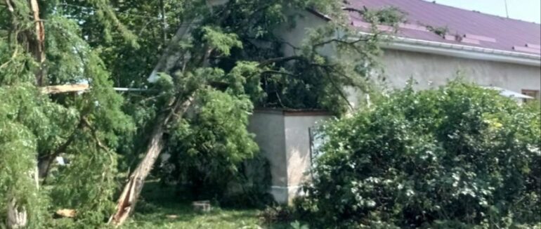 Наслідки негоди на Закарпатті: часткове аварійне знеструмлення населених пунктів та падіння дерев
