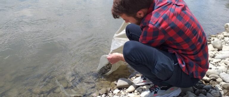 У річки Закарпаття випустили малька струмкової форелі