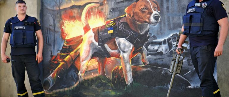 Пес-сапер Патрон відтепер на варті й в Ужгороді