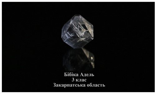 Учениця із Закарпаття перемогла на конкурсі юних дослідників «Кристали»