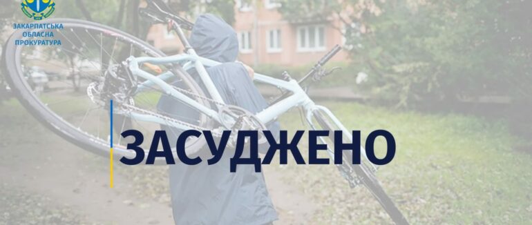 Засуджено закарпатця, як під час воєнного стану вчинив ряд злочинів