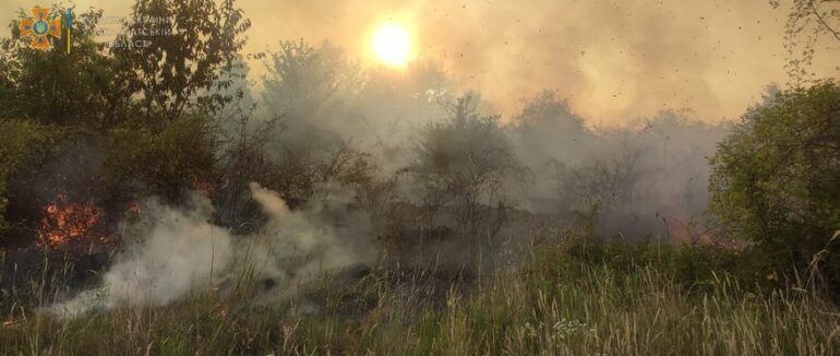 На Берегівщині понад вісім годин гасили пожежу сухої трави та чагарників