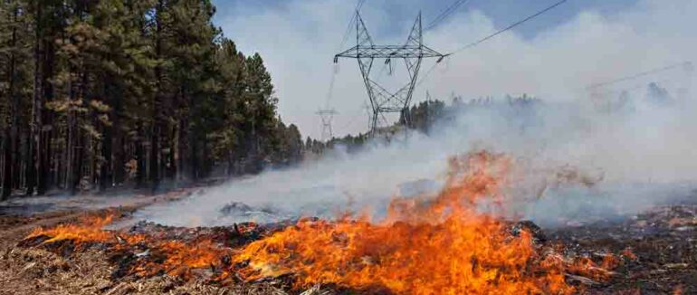 Закарпатські енергетики просять не нехтувати пожежною безпекою поблизу ліній електропередач