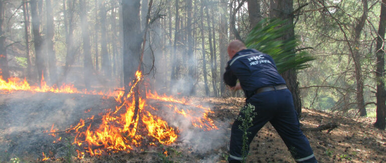 Закарпатців попереджають про високу пожежну небезпеку