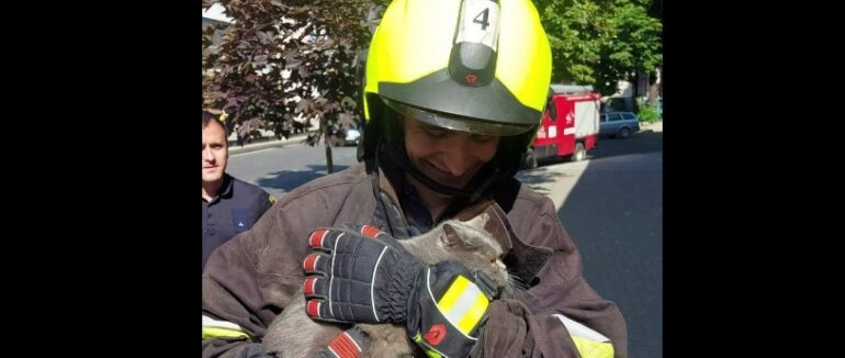 В Ужгороді рятувальники врятували чотирилапого
