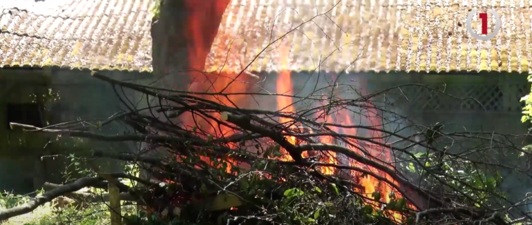 Підпал сухостою – фатальні наслідки: на Рахівщині відбулися масштабні начання (ВІДЕО)