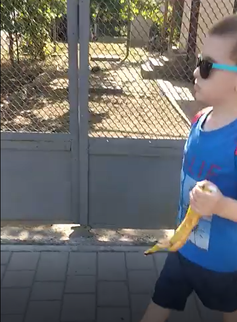 Мережу вразило відео із хлопчиною у Виноградові, який шукає сміттєвий контейнер, щоб викинути сміття