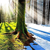 Холодно влітку: в Україні очікуються прохолодні ночі