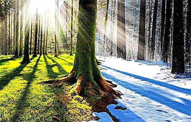 Холодно влітку: в Україні очікуються прохолодні ночі