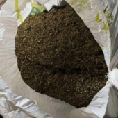 На Закарпатті затримали чоловіка, який зберігав у гаражні понад 3 кг канабісу