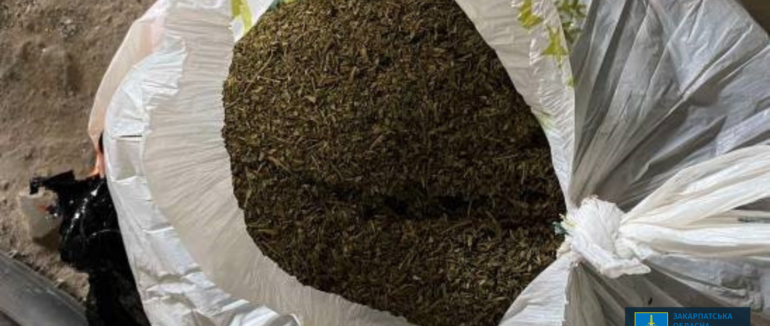 На Закарпатті затримали чоловіка, який зберігав у гаражні понад 3 кг канабісу