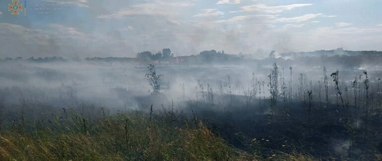 На Берегівщині разом із сухотрав’ям ледь не спалили будинки та врожай