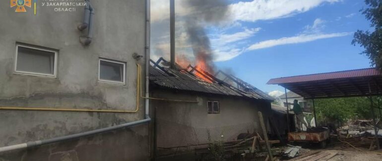 Сусіди побачили що горить та викликали рятувальників: На Виноградівщині палала пожежа