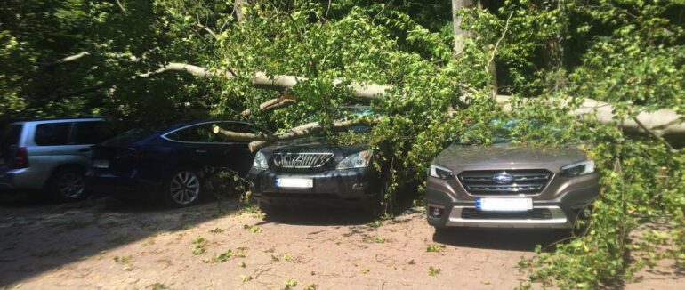 На Мукачівщині дерево впало на 6 авто, серед яких Lexus і Tesla