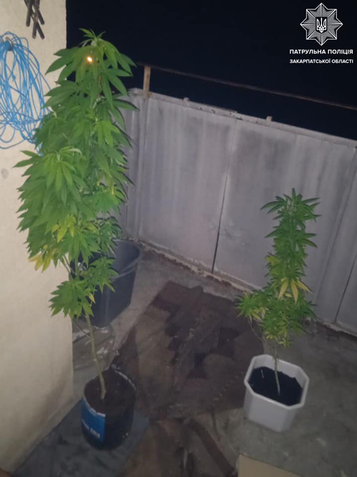 В Ужгороді вночі затримали наркоманів