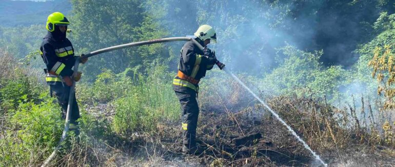 На Закарпатті за добу зафіксували три десятки підпалів сухостою