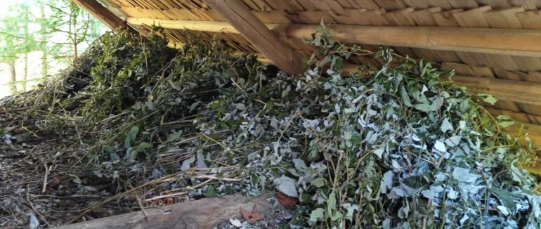 На Закарпатті заготівля кормової бази для дичини іде до завершення