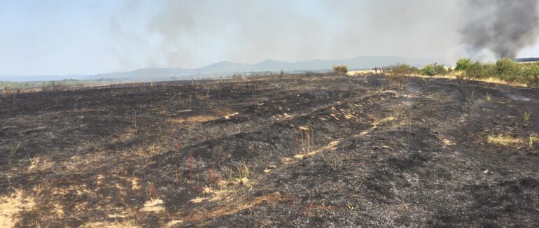 На Виноградівщині сталася масштабна пожежа: перші подробиці