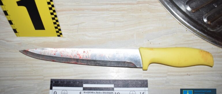 Підозрюваний у вбивстві малолітнього сина житель Тячівщини перебуватиме під вартою