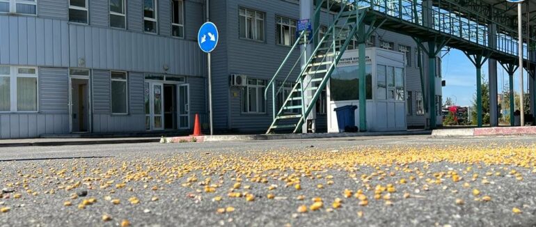 Закарпатська митниця максимально швидко оформляє та пропускає в ЄС агропродукцію