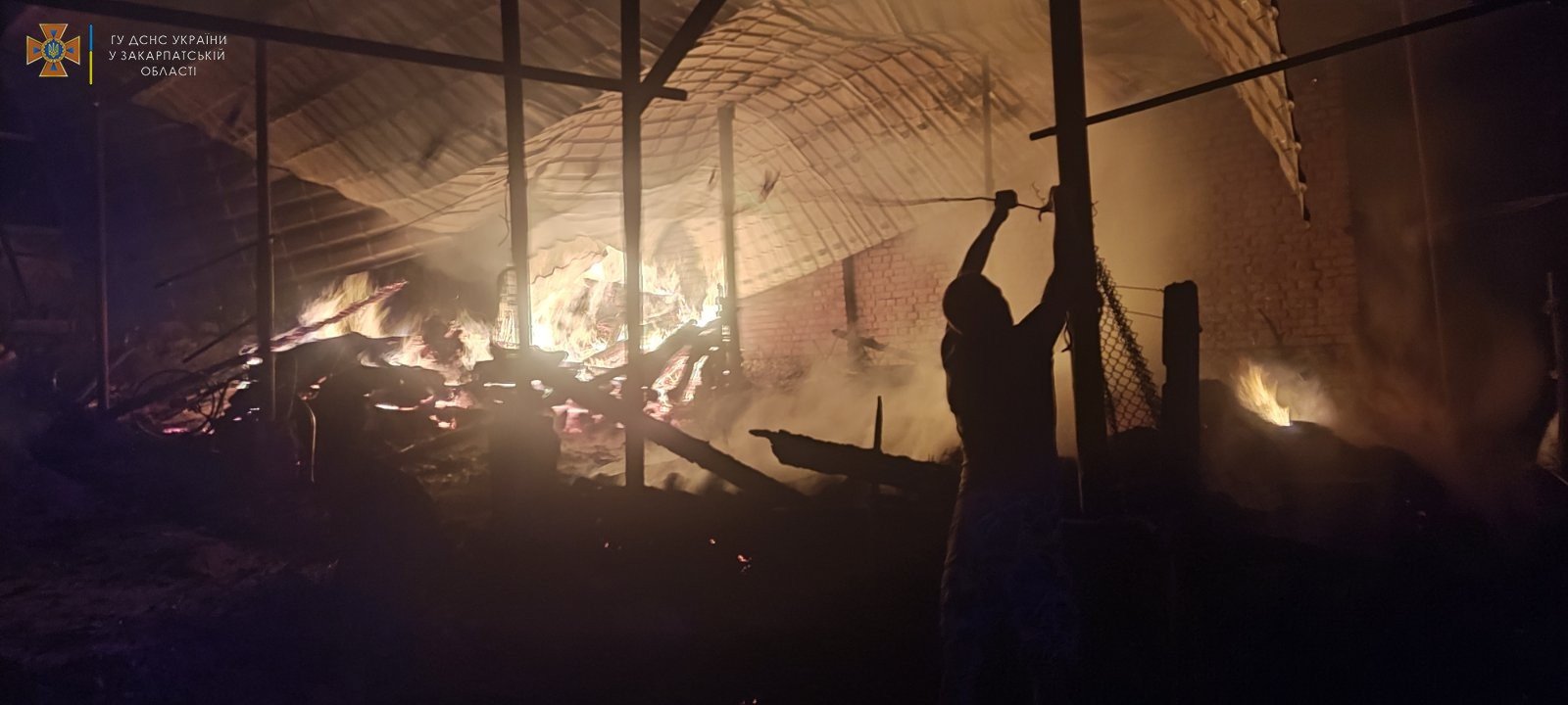 Прокинулася від пожежі: на Берегівщині через вогонь постраждали одразу два обійстя