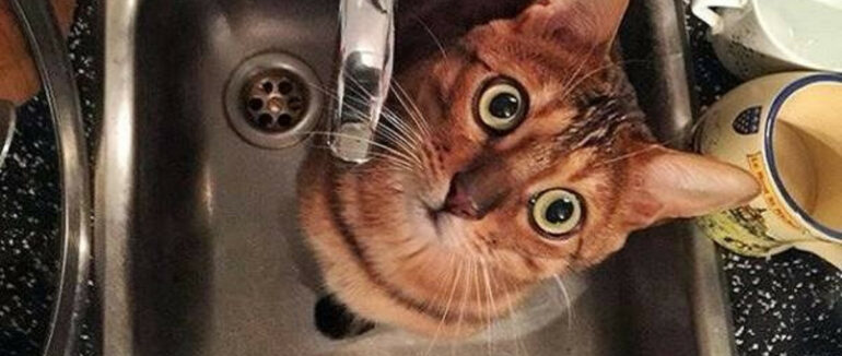 В Ужгороді на декількох вулицях сьогодні не буде води