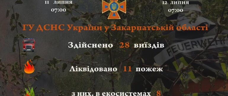 За добу на Закарпатті сталося 11 пожеж