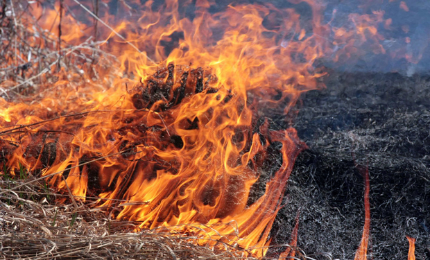 На Хустщині бабуся спалювала траву і постраждала від вогню