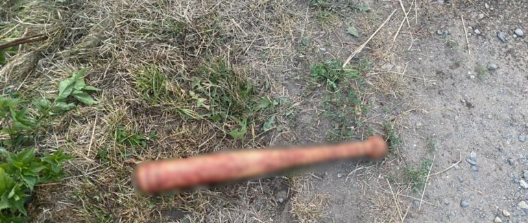 У Берегівському районі троє сусідів побилися, після чого потрапили в серйозне ДТП