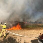 8 гектарів поля: на Хустщині пожежники приборкували масштабну пожежу
